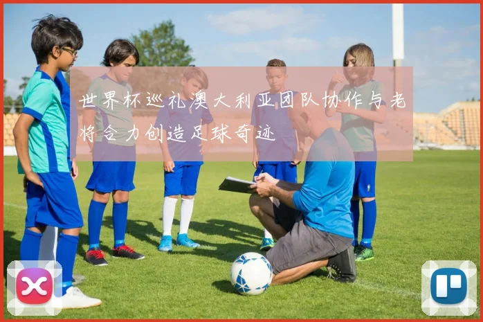 世界杯巡礼澳大利亚团队协作与老将合力创造足球奇迹