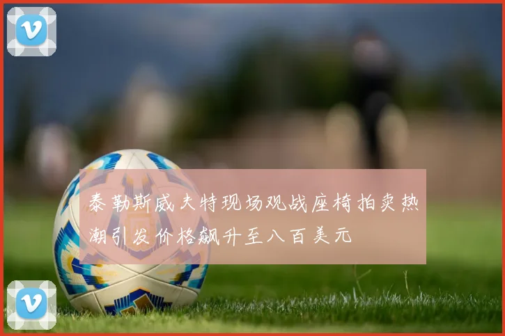 泰勒斯威夫特现场观战座椅拍卖热潮引发价格飙升至八百美元