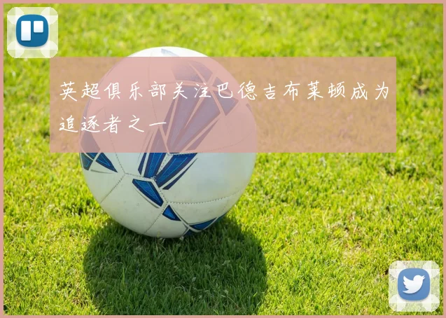 英超俱乐部关注巴德吉布莱顿成为追逐者之一